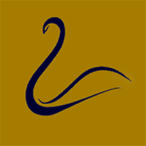 SWAN //Agentur für vertriebsorientiertes Marketing